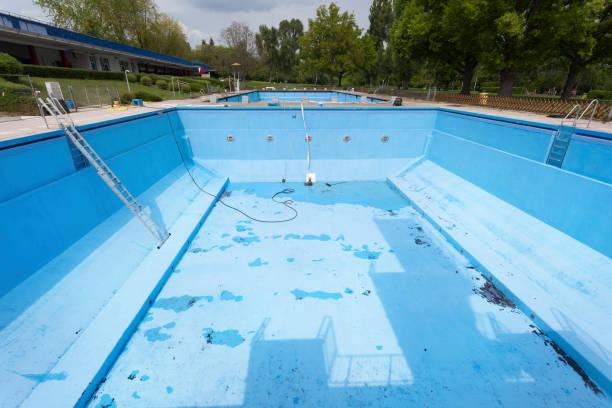 Best Basement water damage restoration  in Waynesboro, TN