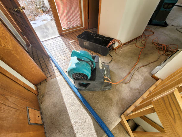 Water damage restoration experts in Waynesboro, TN