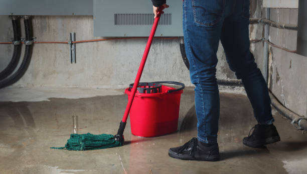 Best Flood restoration services  in Waynesboro, TN