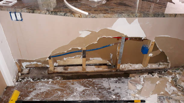 Best Mold removal after water damage  in Waynesboro, TN