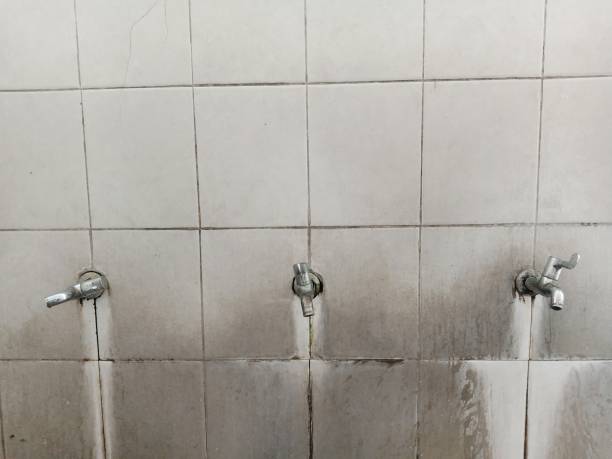 Best Water damage repair service  in Waynesboro, TN