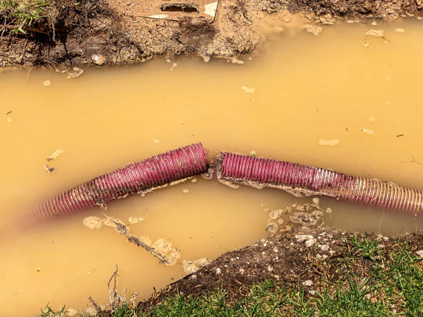 Best 24-hour water damage restoration  in Waynesboro, TN