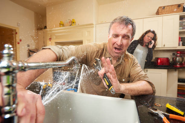 Best Sewage cleanup and water damage restoration  in Waynesboro, TN